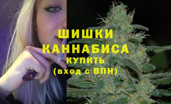 шишки Медногорск