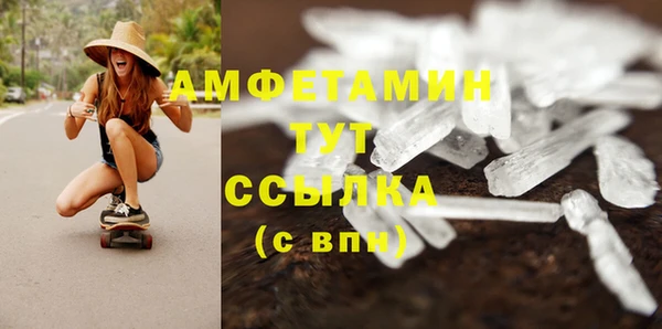 шишки Мегион