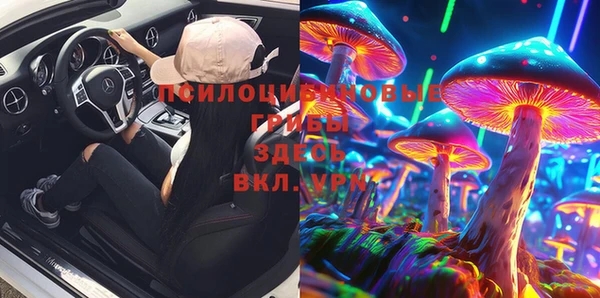 шишки Мегион