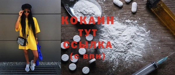 шишки Мегион