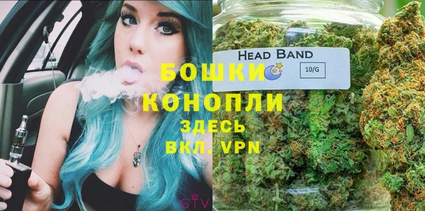 шишки Мегион