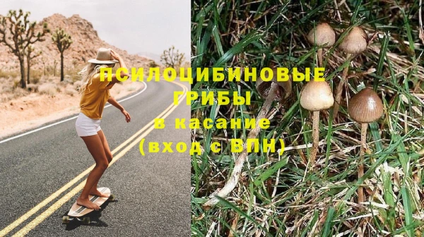 шишки Медногорск