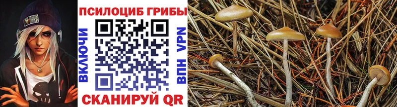 Псилоцибиновые грибы GOLDEN TEACHER Новодвинск