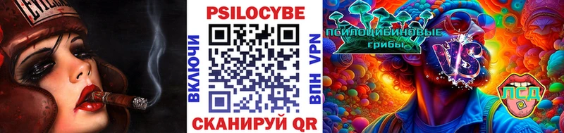 Купить закладки  Новодвинск  Псилоцибиновые грибы мухоморы 