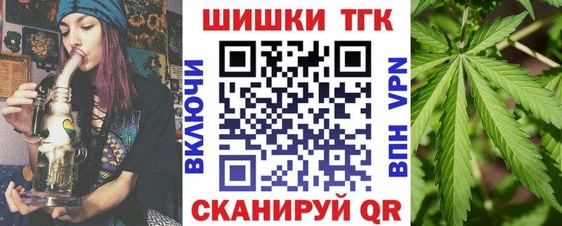 Бошки Шишки план  Купить где  Новодвинск 